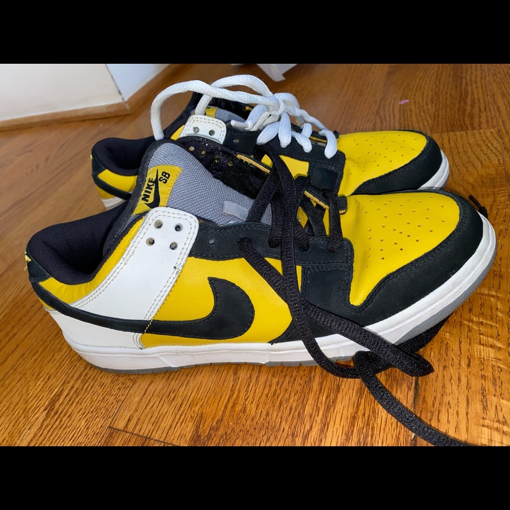 Used Nike sb dunk “bicycle”